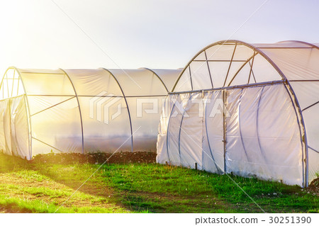 Sunset on outside view of greenhouse Sunset on outside view of greenhouse 30251390