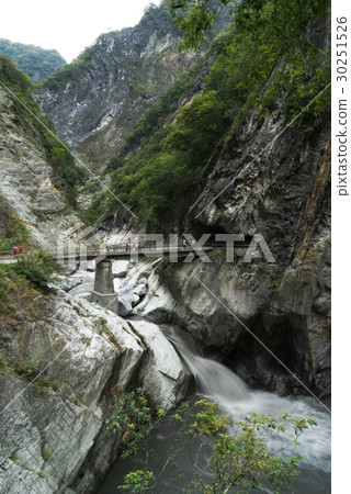 白楊步道景色 白楊步道景色 30251526
