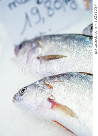 fresh meagre on ice at seafood market 30251557