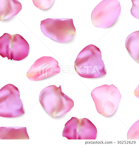 Pink rose petals. Realistic vector illustration 30252629