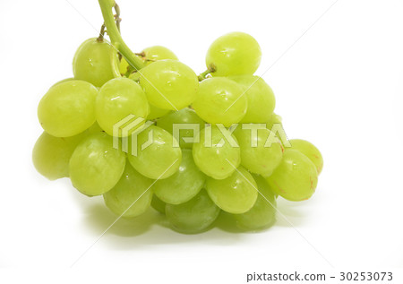 Fresh green grapes Fresh green grapes 30253073