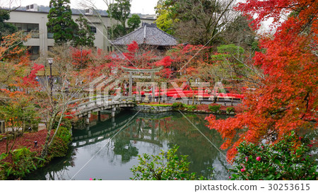 Landscape of Japanese garden at autumn Landscape of Japanese garden at autumn 30253615
