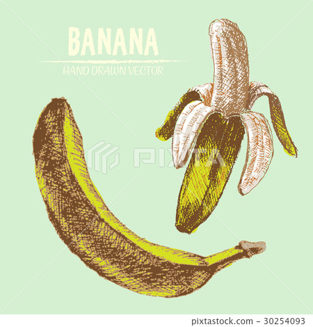 Digital vector detailed banana Digital vector detailed banana 30254093