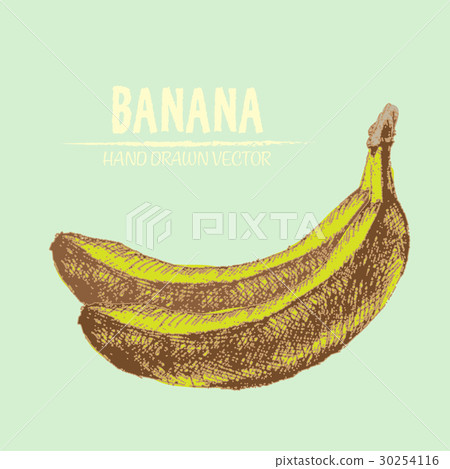Digital vector detailed banana Digital vector detailed banana 30254116
