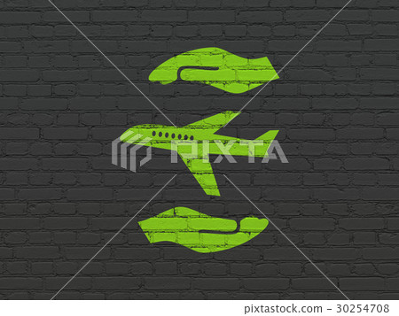 Insurance concept: Airplane And Palm on wall 30254708