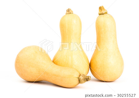 Butternut squash isolated on white background 30255527