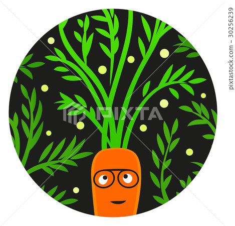 Reggae Veggie. Funny carrot character  30256239