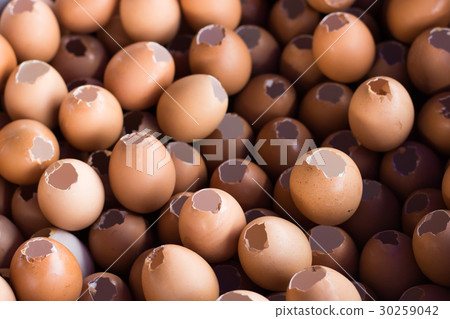 Shell of an Eggs - Eggs Shell background Shell of an Eggs - Eggs Shell background 30259042