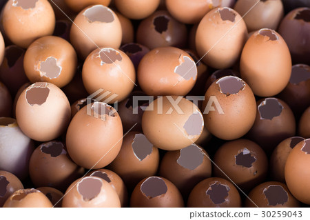 Shell of an Eggs - Eggs Shell background Shell of an Eggs - Eggs Shell background 30259043