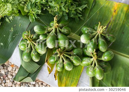 eggplant or aubergine or green eggplant eggplant or aubergine or green eggplant 30259046