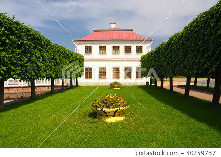 Lonely house in summer park. Petergof, Russia. 30259737