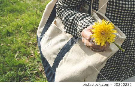 Dandelion flower 30260225