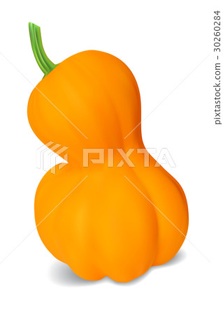 Realistic vector pumpkin Realistic vector pumpkin 30260284