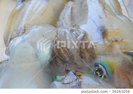 Fresh "Aorika" (Nakatosa Town, Takaoka-gun, Kochi Prefecture) 30261056