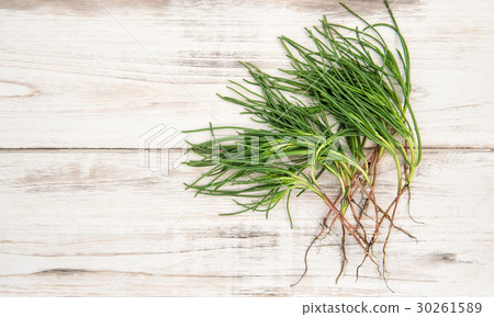 Green vegetable monks beard wooden kitchen table Green vegetable monks beard wooden kitchen table 30261589