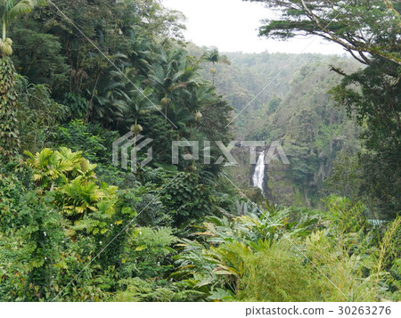Aka Falls on the Island of Hawaii 30263276