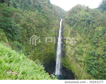 Aka Falls on the Island of Hawaii 30263277