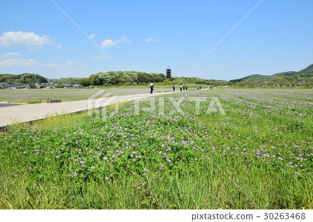 Range field and bicycle path (Bichu kokubunji, excursion) 30263468