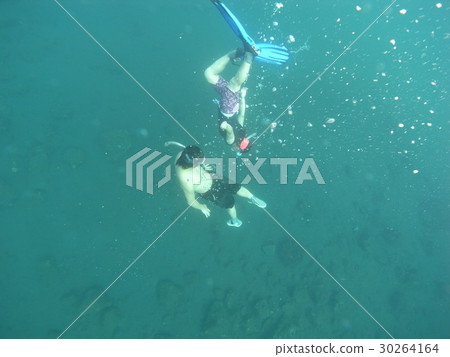 美人魚 30264164