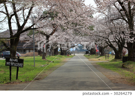 Matsugaoka Shoten Sakura Matsugaoka Shoten Sakura 30264279