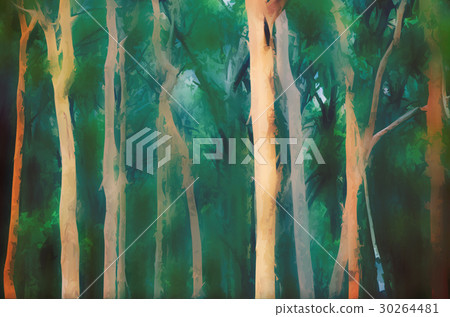 Abstract misty forest background 30264481