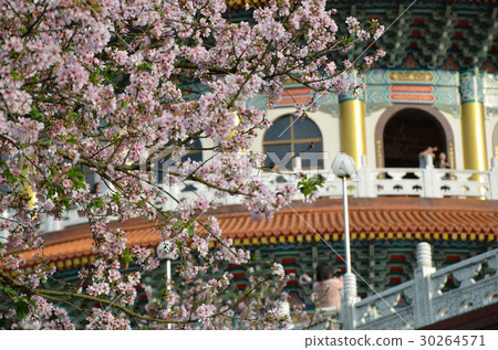 天元宮 天元宮 30264571