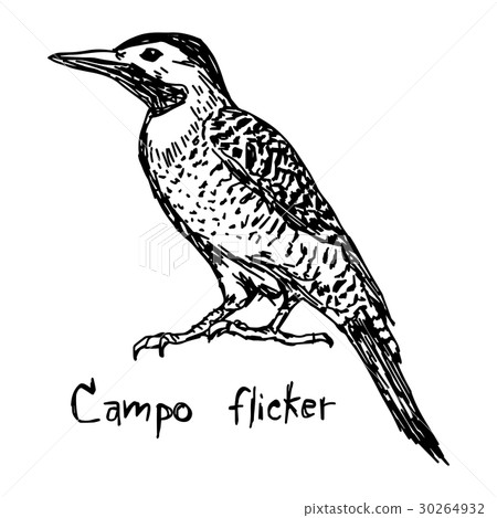 Campo flicker - vector illustration  30264932