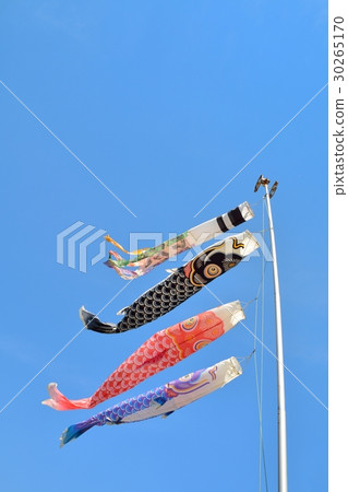 Carp streamer 30265170