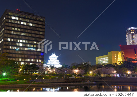 Ogura城堡和櫻花夜視圖晚上 30265447