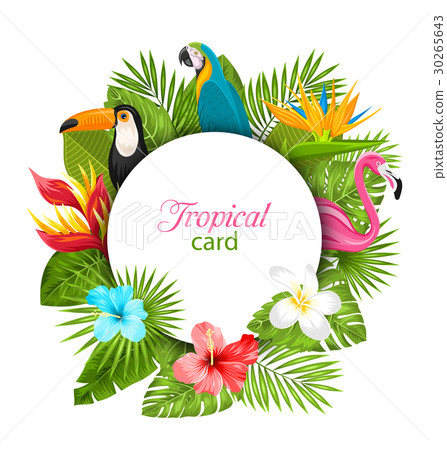 Summer Card With Tropical Plants, Hibiscus Summer Card With Tropical Plants, Hibiscus 30265643