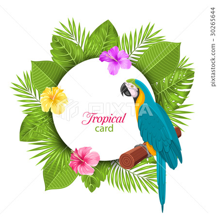 Tropical Card with Parrot Ara, Colorful Hibiscus Tropical Card with Parrot Ara, Colorful Hibiscus 30265644