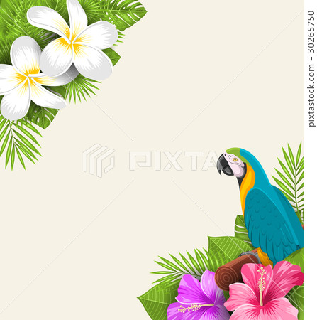 Exotic Border with Parrot Ara, Flowers Plumeria Exotic Border with Parrot Ara, Flowers Plumeria 30265750