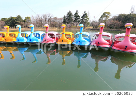 Pond boat Pond boat 30266053