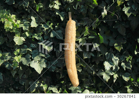 Loafers scourer Loafers scourer 30267841