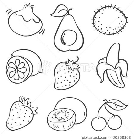 Collection stock fruit various doodles Collection stock fruit various doodles 30268368
