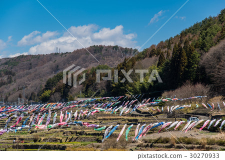 Roadside station Kiyosato south full of rye Roadside station Kiyosato south full of rye 30270933