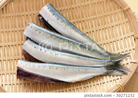 Sardine sardine Iwasi Iwashi 30271232