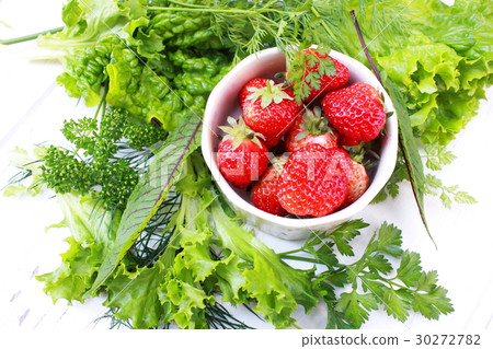 Freshly picked vegetables from home garden Freshly picked vegetables from home garden 30272782