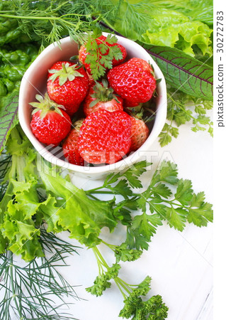 Freshly picked vegetables from home garden 30272783