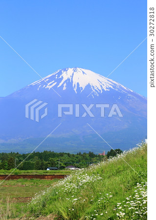 從御殿場鄉下看到的富士山 30272818