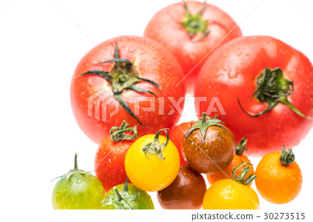 各種西紅柿 各種西紅柿 30273515