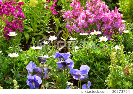 Yokohama · Kanazawa Nature Park 30273704