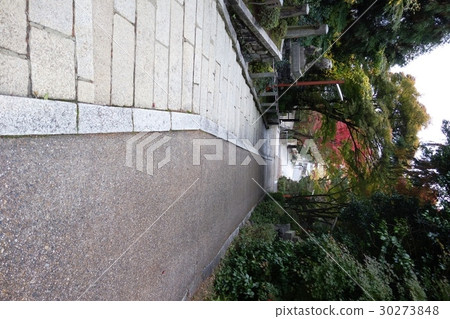 Awada Shrine 30273848