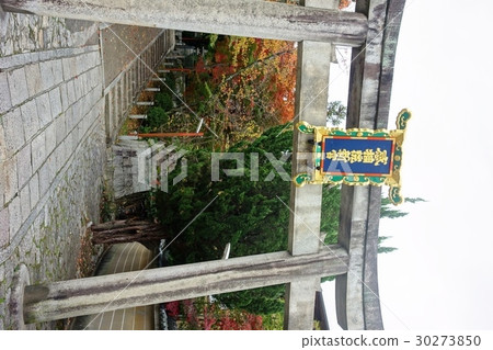 Awada Shrine 30273850