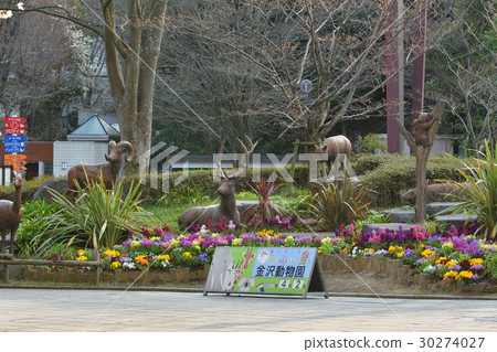 橫濱·金澤動物園 30274027