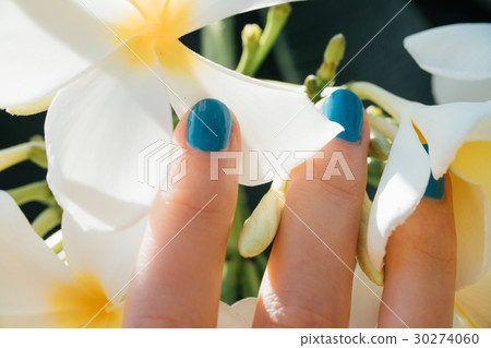 White plumeria Flower on hand With a turquoise White plumeria Flower on hand With a turquoise 30274060