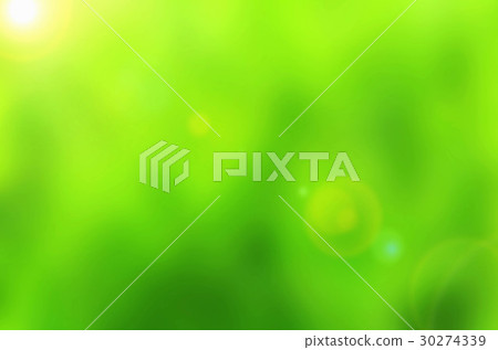 Beautiful green Nature Bokeh.Blurred 30274339