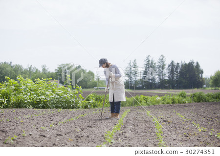 農業女孩 30274351