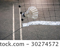 Shuttlecock hang on the net 30274572