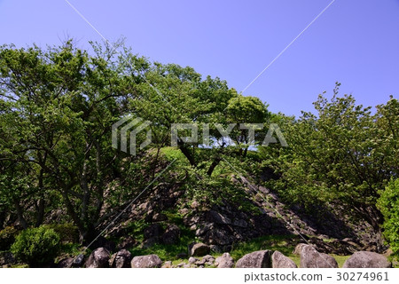 Fresh green Nagoi castle ruins Fresh green Nagoi castle ruins 30274961